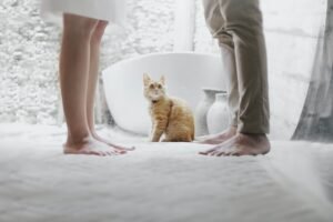 What to Expect in a Divorce Proceeding: A Step-by-Step Guide