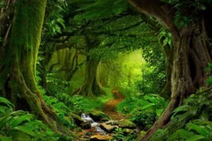 The Role of Maritime Law in Protecting the Environment